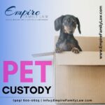 Pet Custody