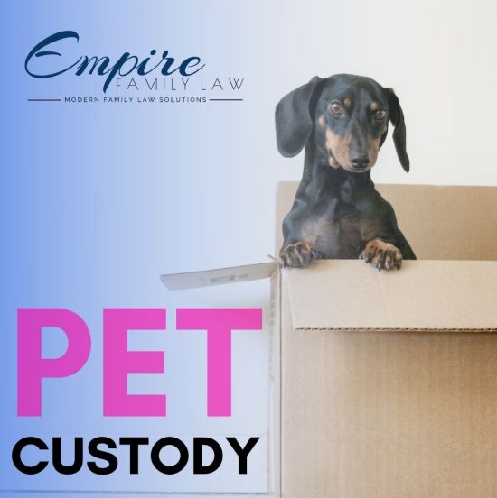 pet custody